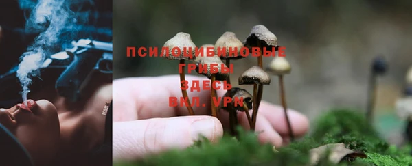меф Абинск