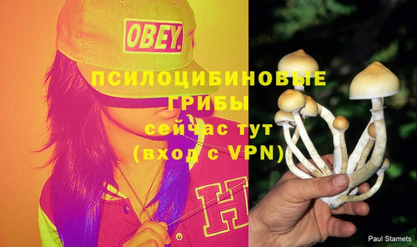 меф Абинск