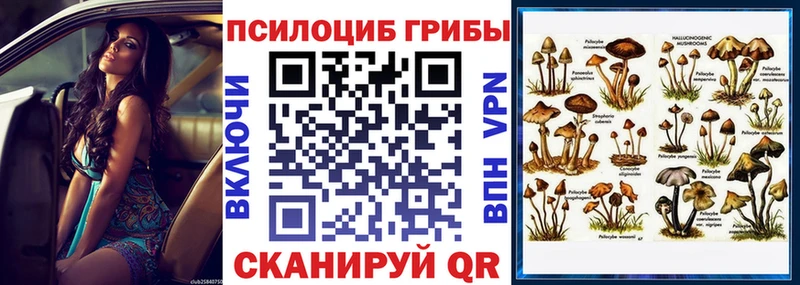 ОМГ ОМГ ONION  Альметьевск  Псилоцибиновые грибы GOLDEN TEACHER 